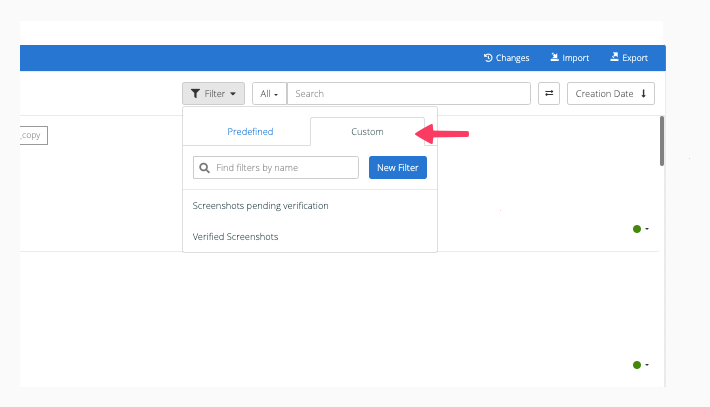 Custom filter setup